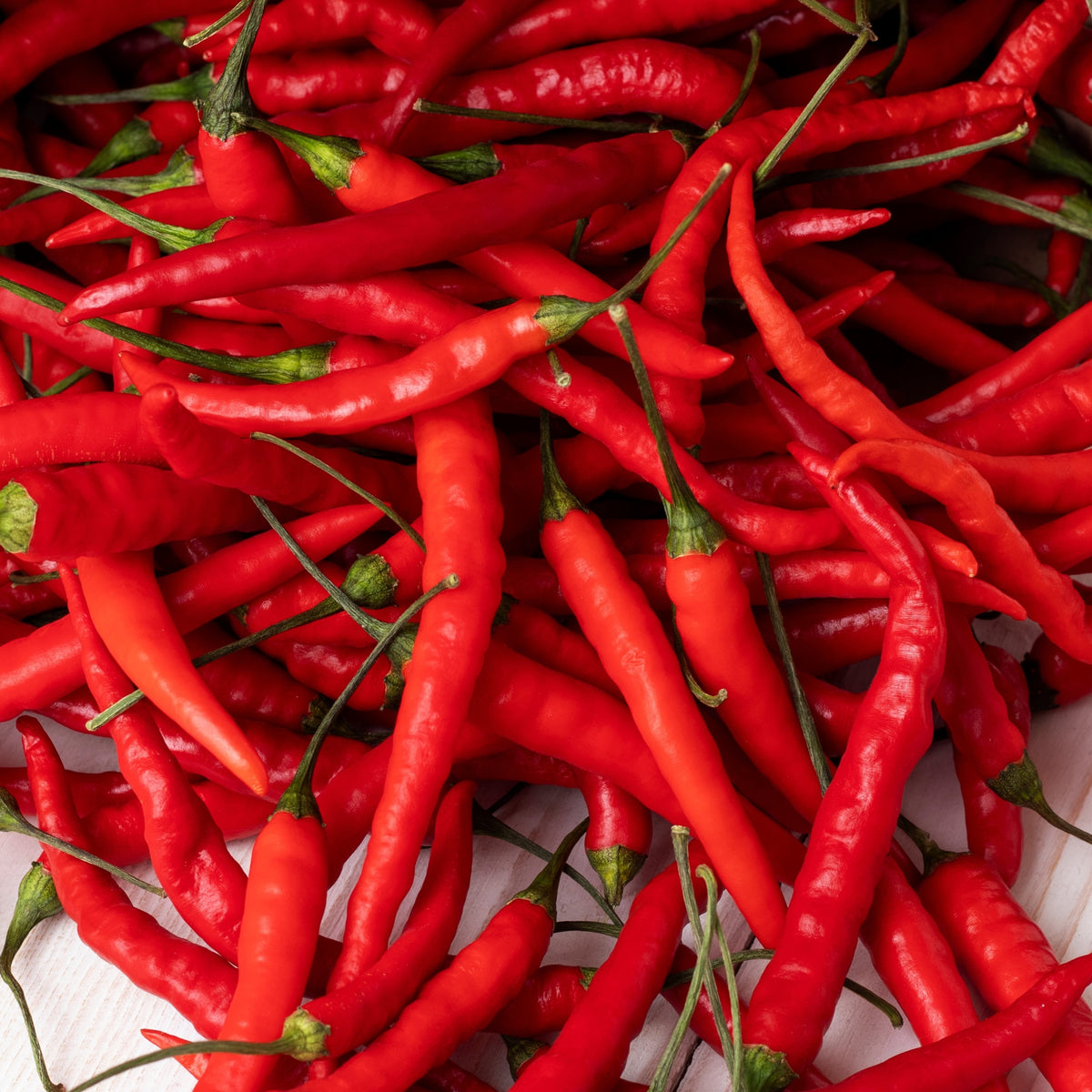 Organic ‘Aci Sivri’ pepper (<em>Capsicum annuum</em>)