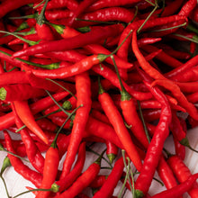Organic ‘Aci Sivri’ pepper (<em>Capsicum annuum</em>)