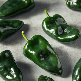Hot pepper 'Ancho Poblano'