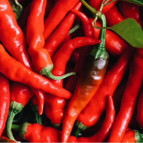 Organic 'Cayenne' hot pepper