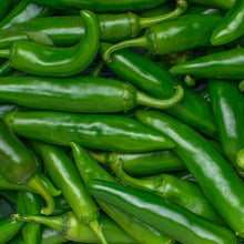 Jalapeño bio (<em>Capsicum annuum</em>)