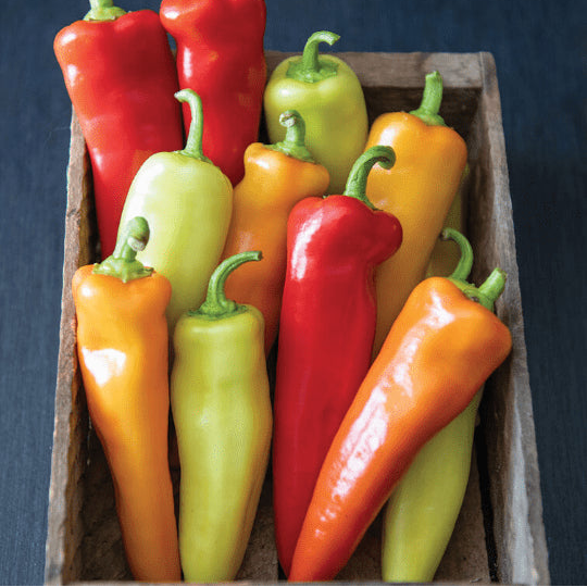 Organic 'Johnny's Hungarian Hot Wax' hot pepper