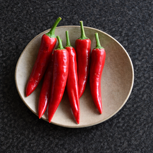 Piment fort 'Korean Dark Green' bio