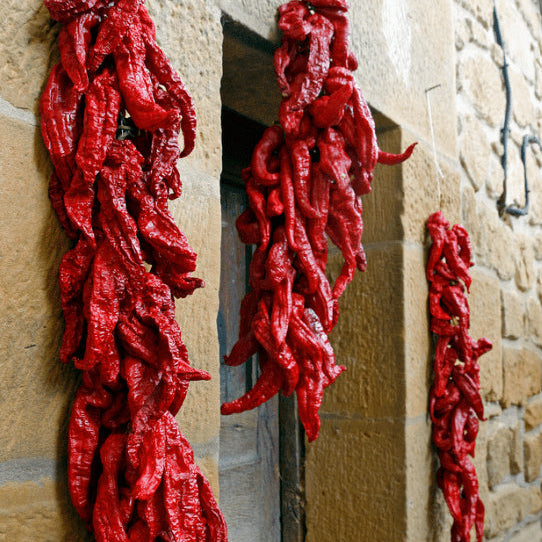 Organic hot pepper 'Pimento Chericero'