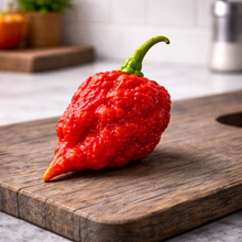 RB003 hot pepper (<em>Capsicum chinense</em> ‘RB003’)