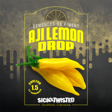 Vue rapprochée de Piment fort ‘Aji Lemon Drop’ cultivé au soleil, avec un feuillage vert sain et des fruits caractéristiques bien visibles. La photo montre la forme, la couleur et le stade de maturité typiques de la variété sur un plant vigoureux. Les fruits se détachent nettement du feuillage et illustrent l’apparence recherchée au moment de la récolte.