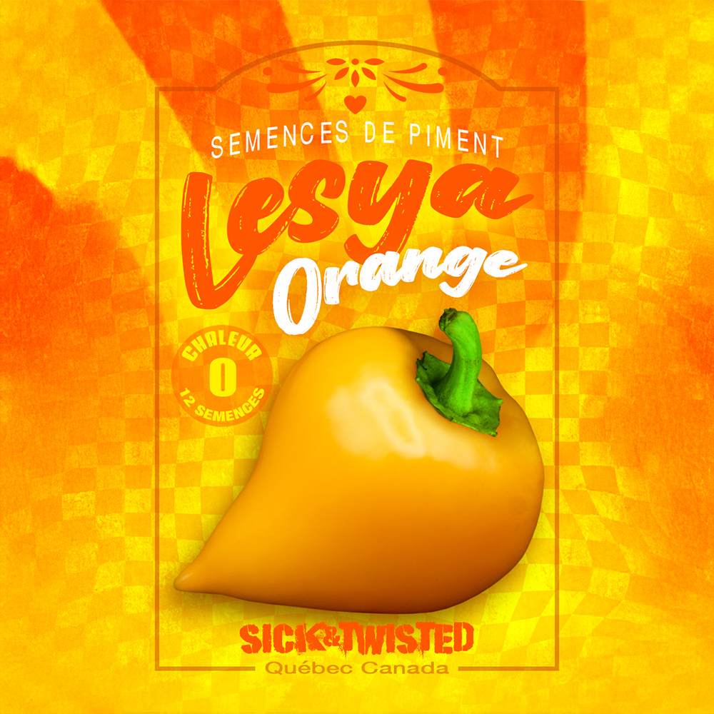 Lesya Orange sweet pepper (<em>Capsicum annuum</em> ‘Lesya Orange’)
