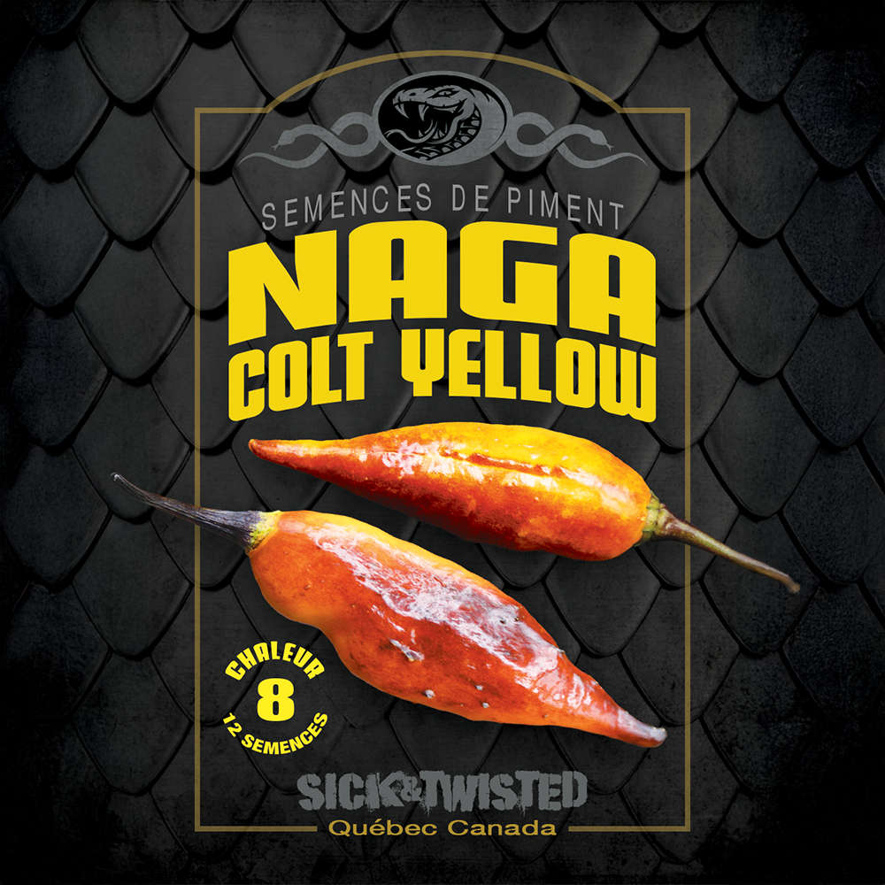 Piment fort Naga Colt Yellow (<em>Capsicum chinense</em> présumé)
