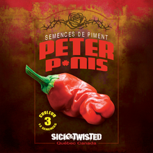 Vue rapprochée de Piment fort ‘Peter P*nis’ cultivé au soleil, avec un feuillage vert sain et des fruits caractéristiques bien visibles. La photo montre la forme, la couleur et le stade de maturité typiques de la variété sur un plant vigoureux. Les fruits se détachent nettement du feuillage et illustrent l’apparence recherchée au moment de la récolte.