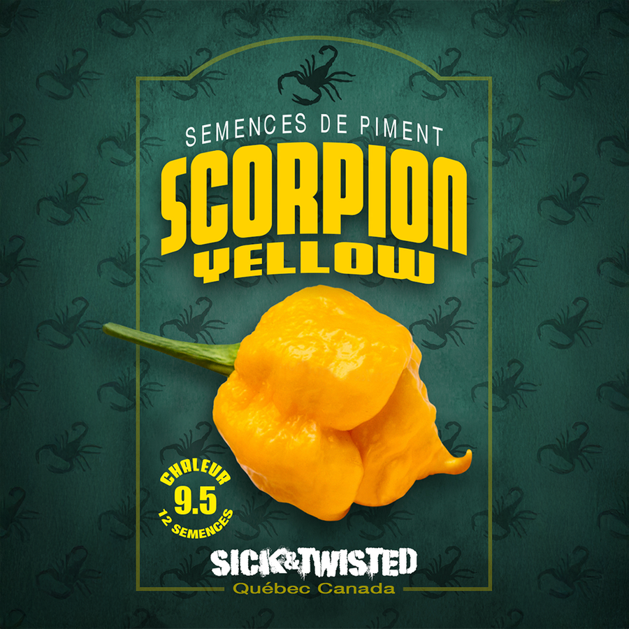 Hot pepper 'Yellow Scorpion'