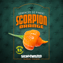 Hot pepper 'Scorpion Orange'