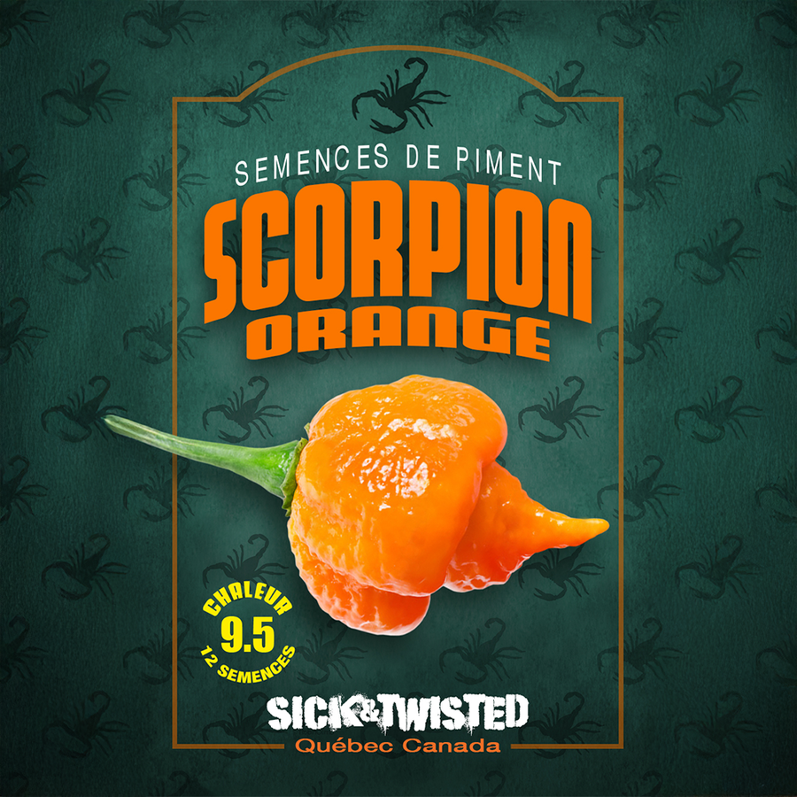 Hot pepper 'Scorpion Orange'