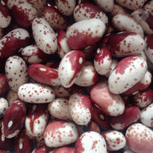 Organic runner bean 'Piros Feher'