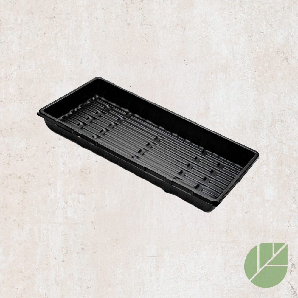 Plateau 10" x 20" sans trous pour semis et culture