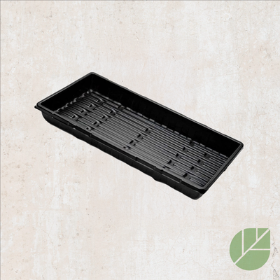 10" x 20" tray without holes for seedlings and cultivation 