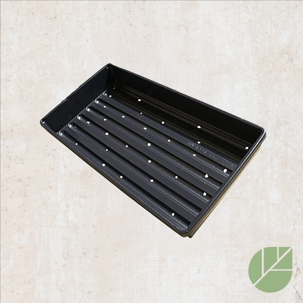 10" x 20" tray with holes for sowing and growing 