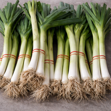 Organic 'King Richard' Leek