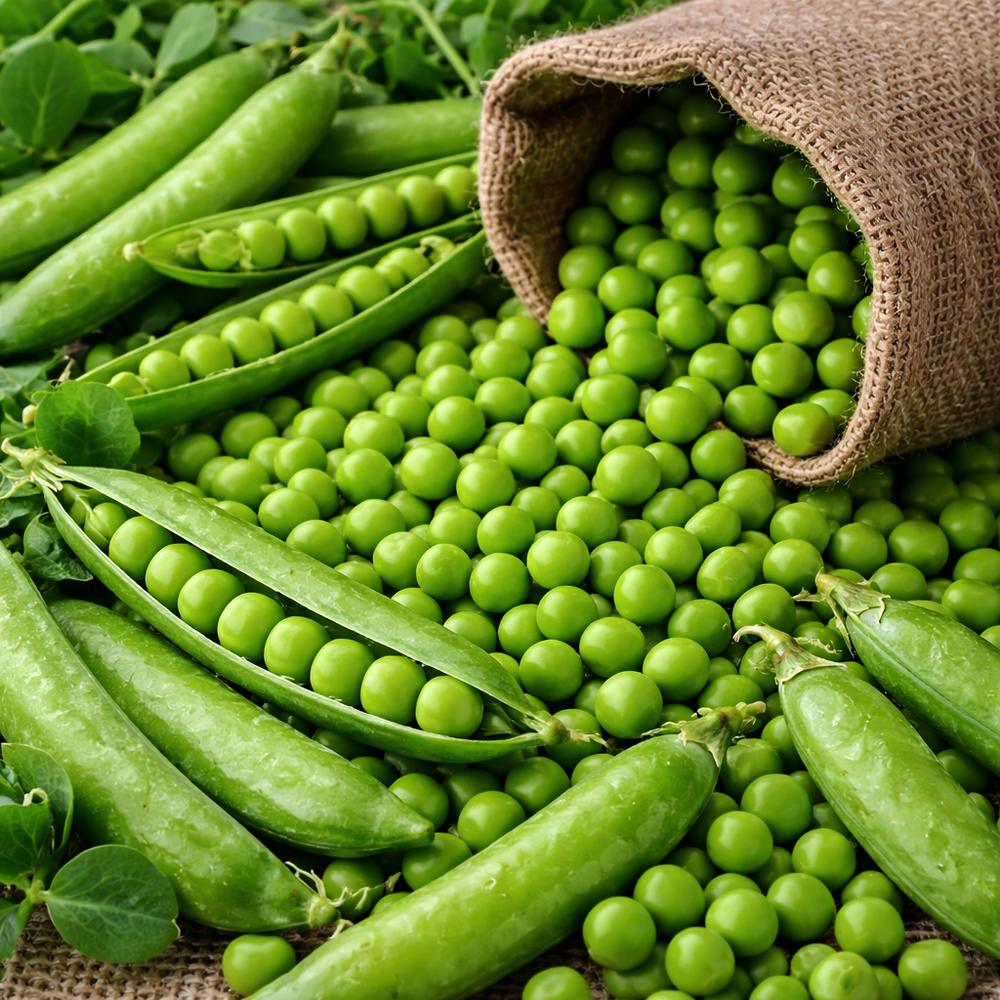 'Alaska' peas