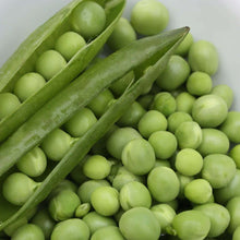 Pea 'Early Frosty' 