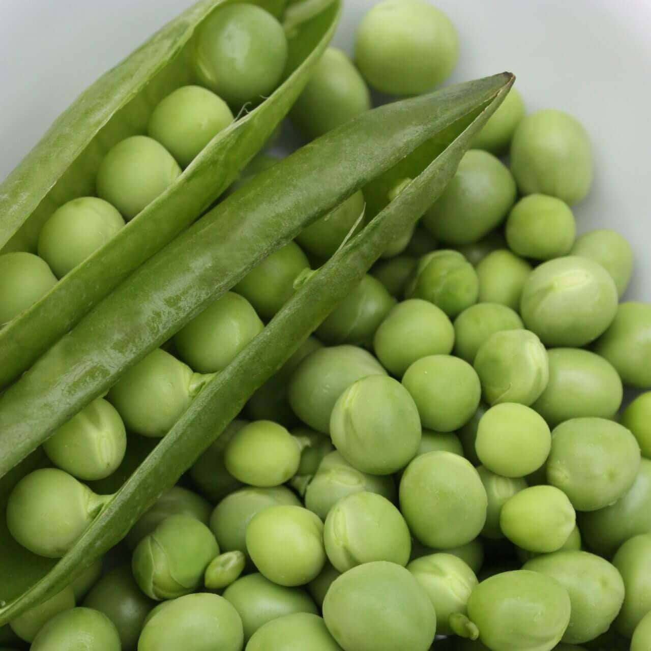 Pea 'Early Frosty' 