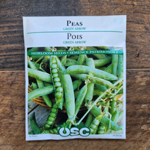 Pea 'Green Arrow'