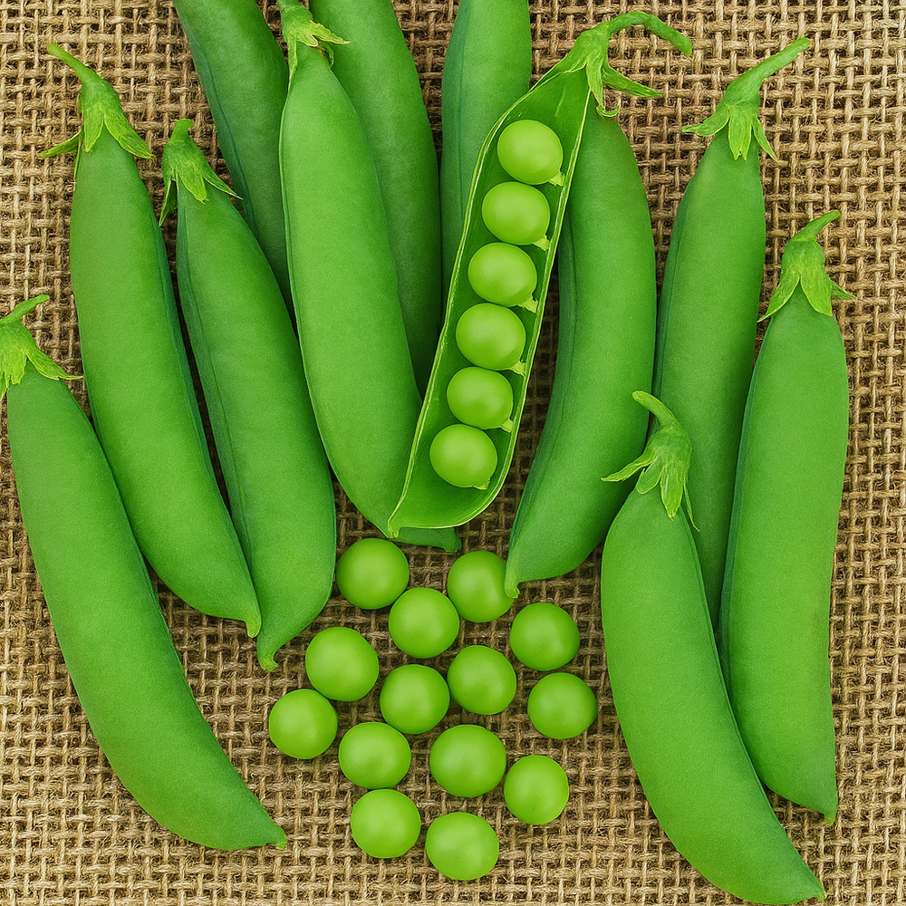 Organic 'Green Arrow' peas