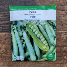 'Homesteader or Lincoln' peas