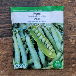 'Homesteader or Lincoln' peas