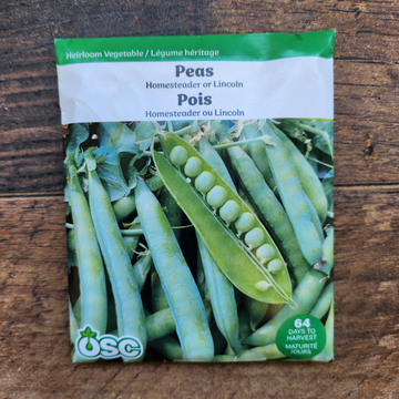 Pois 'Homesteader ou Lincoln'