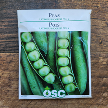Peas 'Laxtons prog. 9'