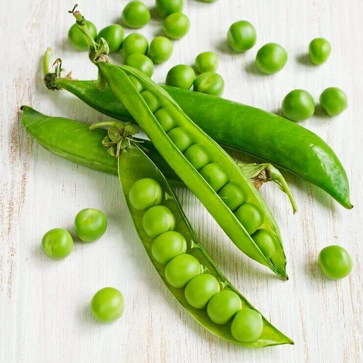 Peas 'Laxtons prog. 9'