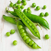 Peas 'Laxtons prog. 9'
