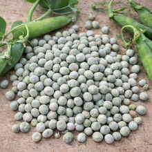 Organic 'St-Hubert' soup peas