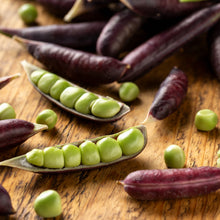 Organic 'Sugar Magnolia' snow peas