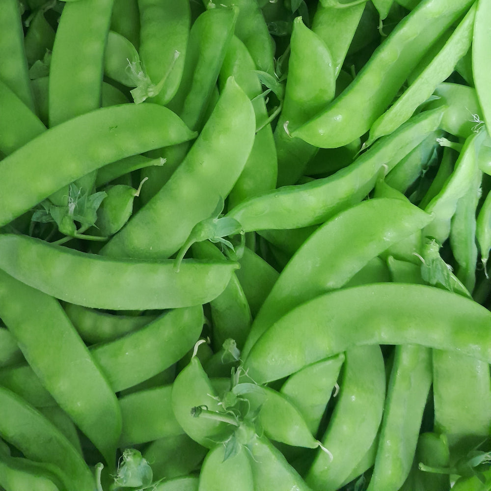 Organic 'Sugaree' snow peas