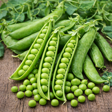 'Little Crunch' snow peas
