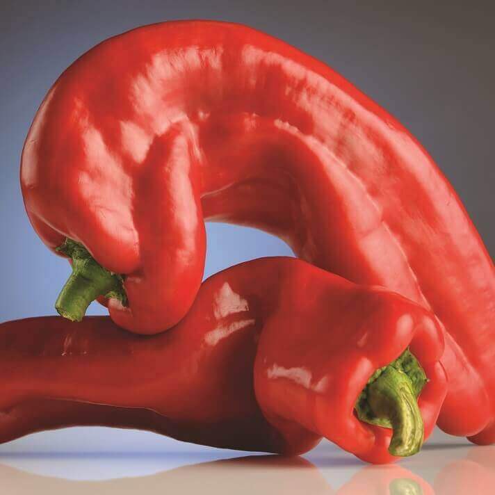 Poivron rouge 'Marconi Rosso'