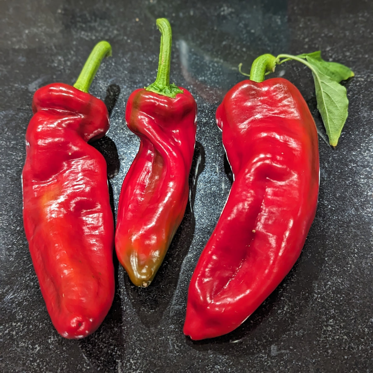 Photo de Poivron rouge 'Giant Marconi' F1. La couleur caractéristique est : vert brillant, rouge. Les fruits présentent cette forme : allongée. Le visuel permet d'observer les contours, les teintes et la disposition des éléments présentés. Les détails de forme et les contrastes donnent un aperçu de l'apparence de cette plante ou de sa récolte.