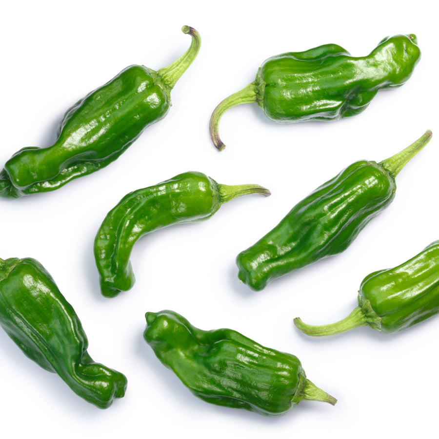 Pepper 'Golden Greek Pepperoncini' 
