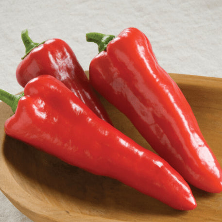 Organic 'Corno Di Toro' Pepper