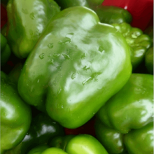 Pepper 'Encore'