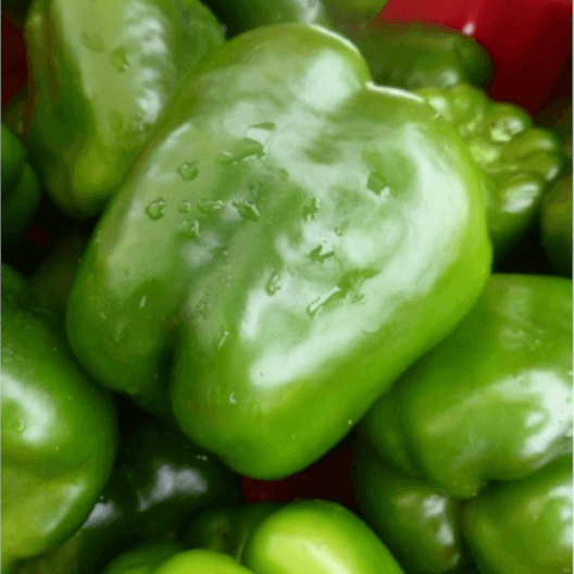 Pepper 'Encore'