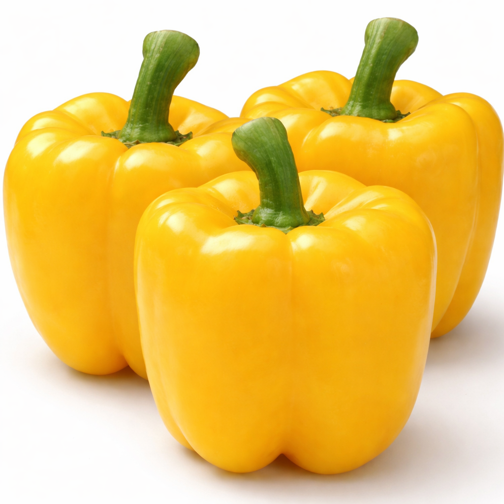 Poivron 'Golden California Wonder' bio