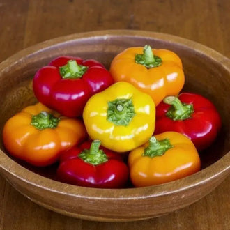 Photo de Poivron Hungarian 'Cheese' F1. La couleur caractéristique est : rouge/ orange/ jaune. Les fruits présentent cette forme : aplatie. Le visuel permet d'observer les contours, les teintes et la disposition des éléments présentés. Les détails de forme et les contrastes donnent un aperçu de l'apparence de cette plante ou de sa récolte.