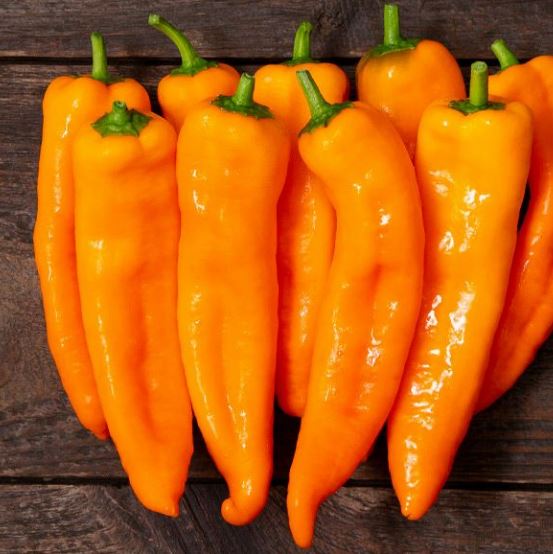 Organic 'Oranos F1' Pepper