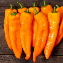Organic 'Oranos F1' Pepper