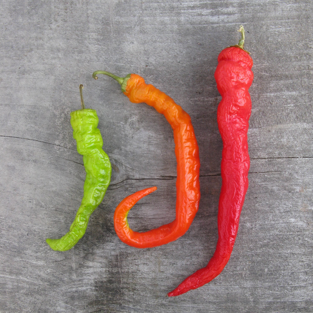 Organic 'Pepperoncini' Pepper