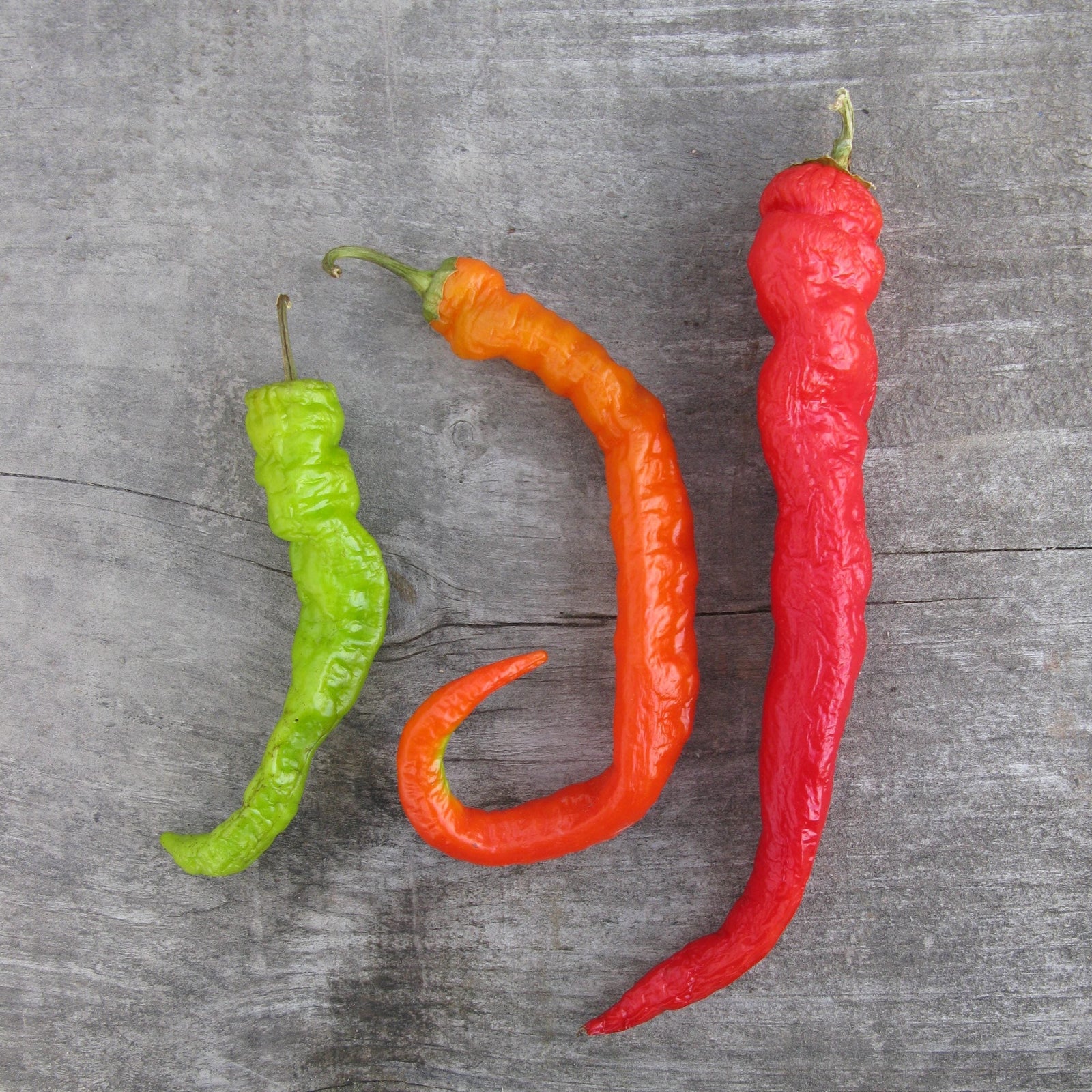 Organic 'Pepperoncini' Pepper