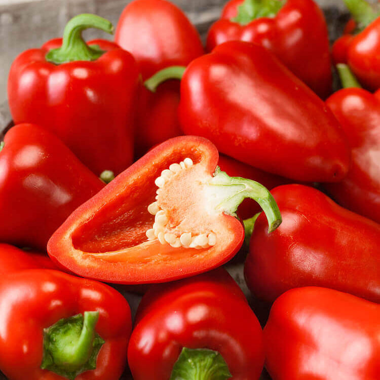Poivron rouge 'Pimento'