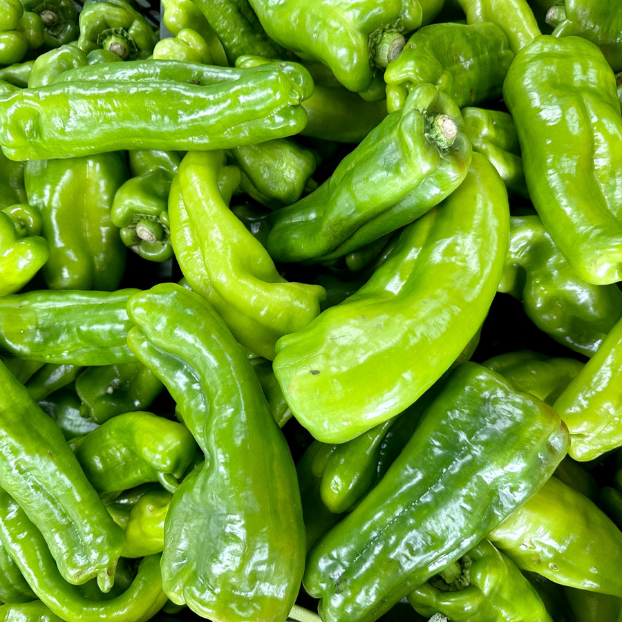 Poivron vert 'Sweet Cubanelle'
